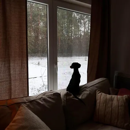 Holiday home Misi Kadlubowka