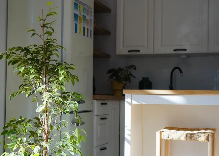 Misi Prázdninový dům