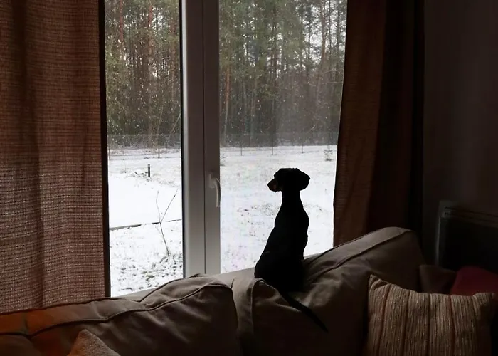 Prázdninový dům Misi Kadlubowka